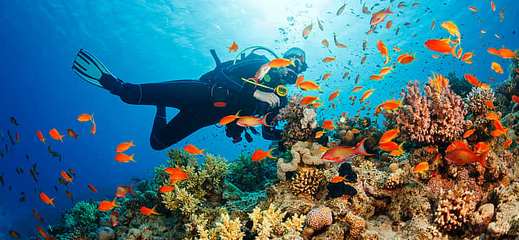 Photo 1 Discover Scuba Diving