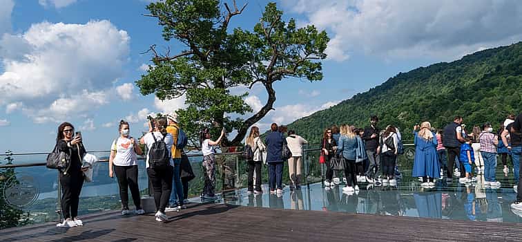 Foto 1 Excursión de un día al lago Sapanca y Masukiye desde Estambul