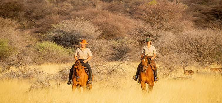 Foto 1 Para parejas: Safari privado a caballo