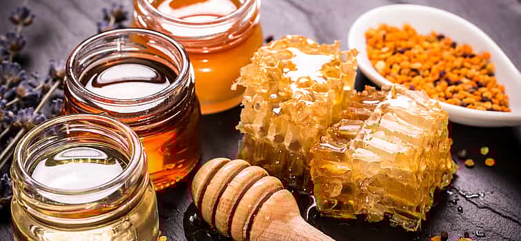 Photo 1 Bike tour and Honey Tasting on Sant’Erasmo Island