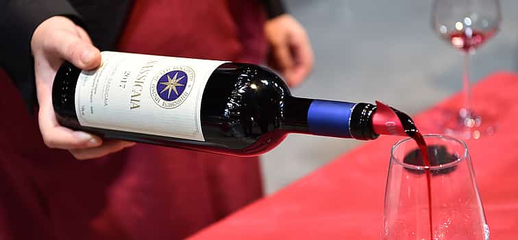 Photo 1 Bolgheri Small Group Tour with Wine Tasting from Florence