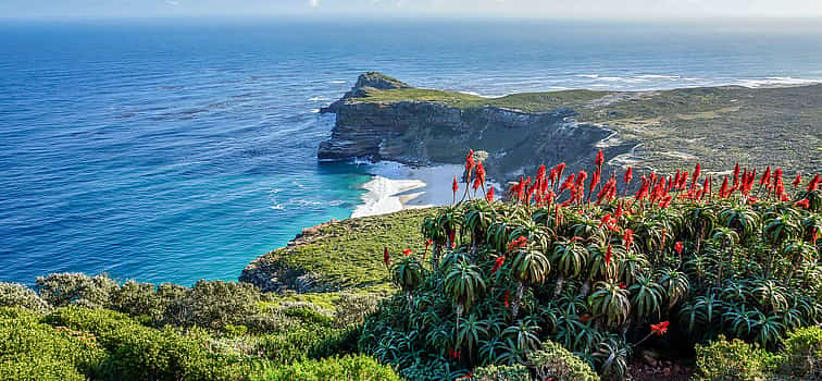 Photo 1 Cape of Good Hope and Sightseeing Tour