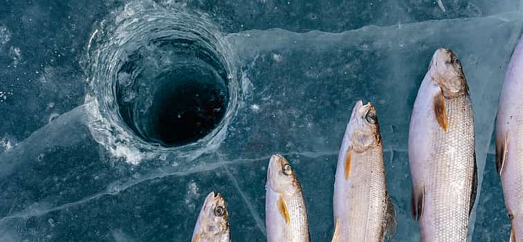 Photo 1 Ice Fishing Experience from Pyha and Luosto