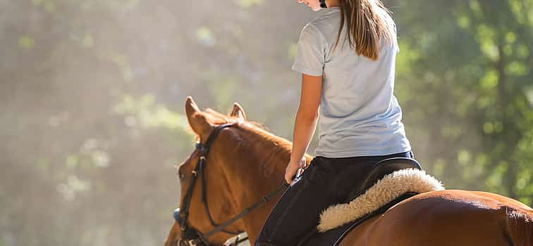 Photo 1 Krnovo Full-day Horseback Riding Tour