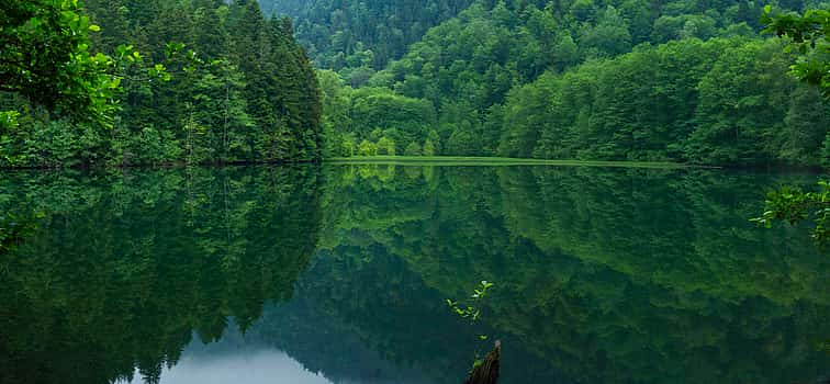 Photo 1 Bateti Lake Tour