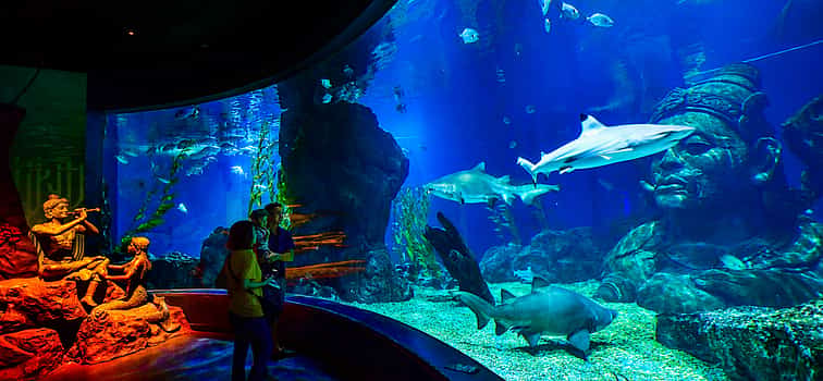Foto 1 Aquarium Experience with Combo Ticket Package