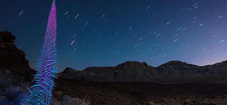 Foto 1 Excursión Nocturna al Teide: Observación de estrellas con cena