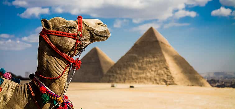 Photo 1 Full-day Giza Pyramids, Memphis and Saqqara Tour