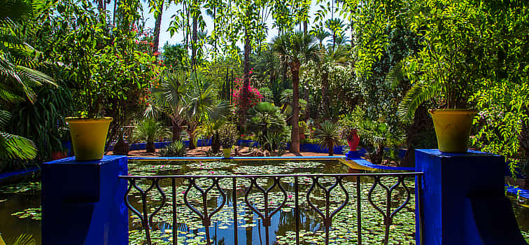 Photo 1 Private Majorelle Garden and Shopping Tour in the Old City Souks