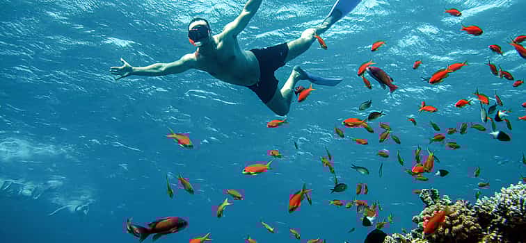 Photo 1 Dahab Snorkeling with Camel Ride and Quad Bike Ride