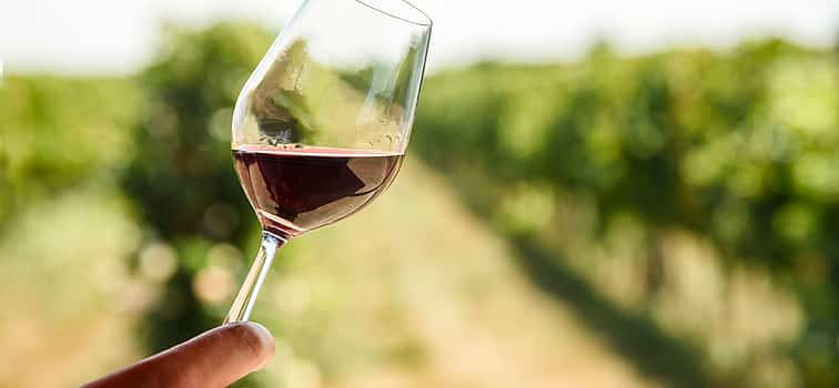 Photo 1 Daily Wine Tour